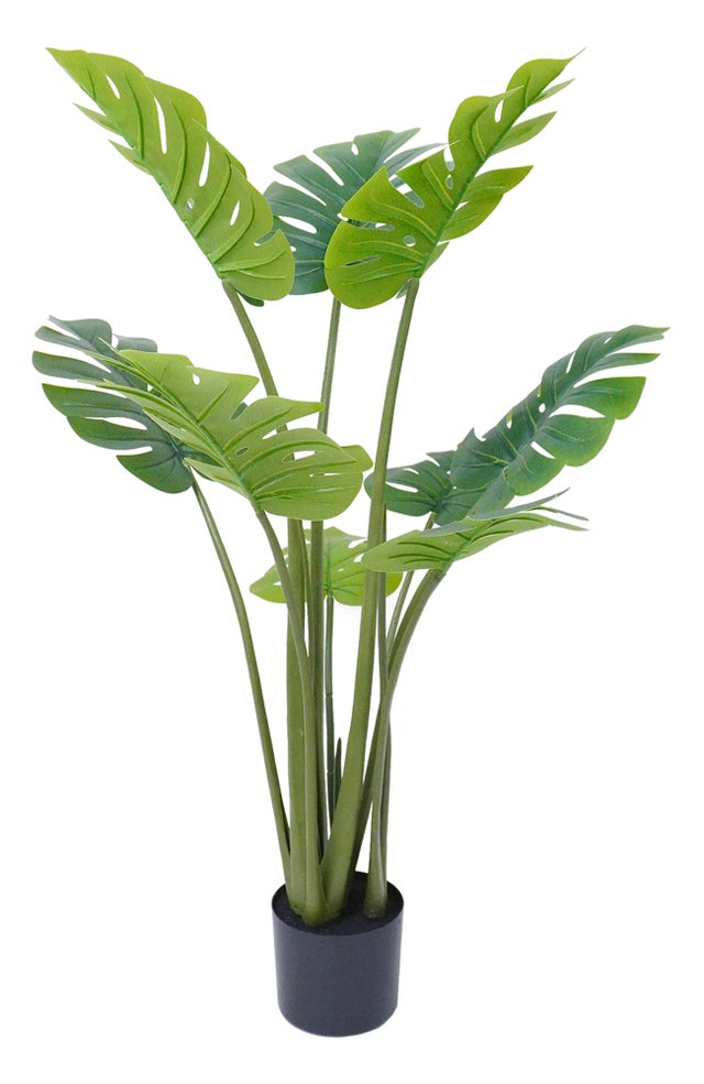 Pianta Artificiale Alta 180 Cm – Albero Di Gomma Finto Per Interni, Realistica, Senza Manutenzione, Per Soggiorno E Ufficio - 5