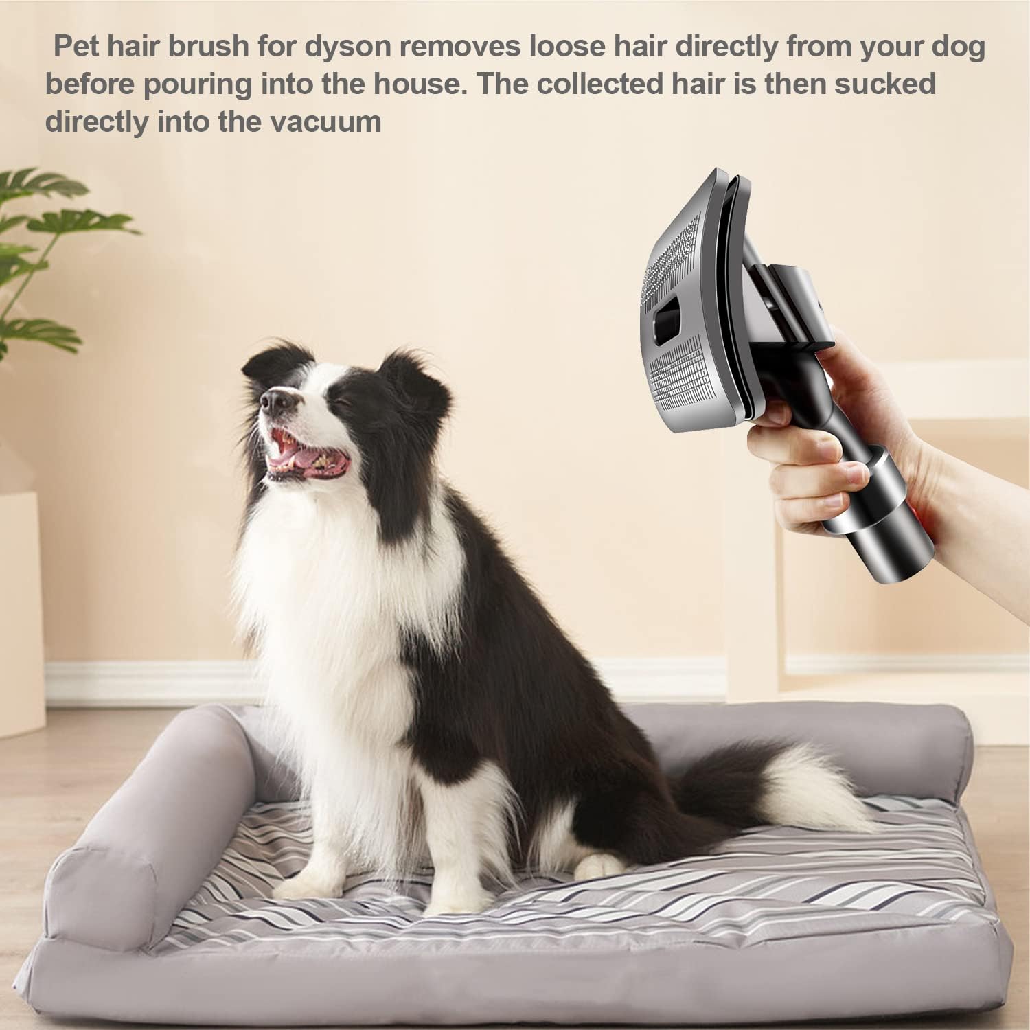 Brosse Aspirateur Chien pour Dyson, Brosse à Poils D'animaux, avec Extension Tuyau et Verrou de Gâchette, pour Dyson V7 V8 V10 V11 V12 V15 - 4