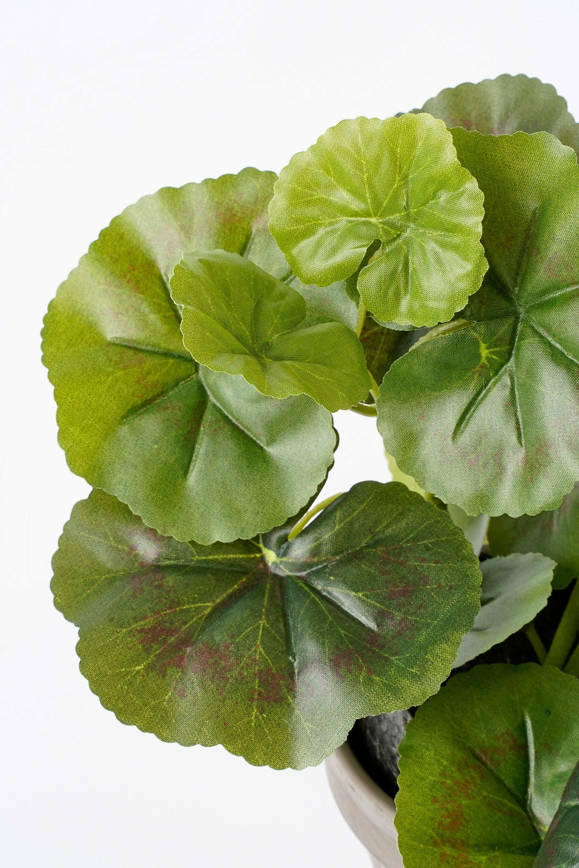 Sztuczna pelargonia w doniczce, MICA DECORATIONS, wys. 34 cm - 3