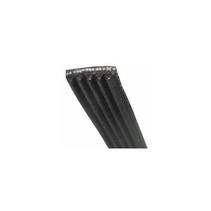 Courroie 1281J5 pour Lave-Linge VEDETTE AS0033204 - 4