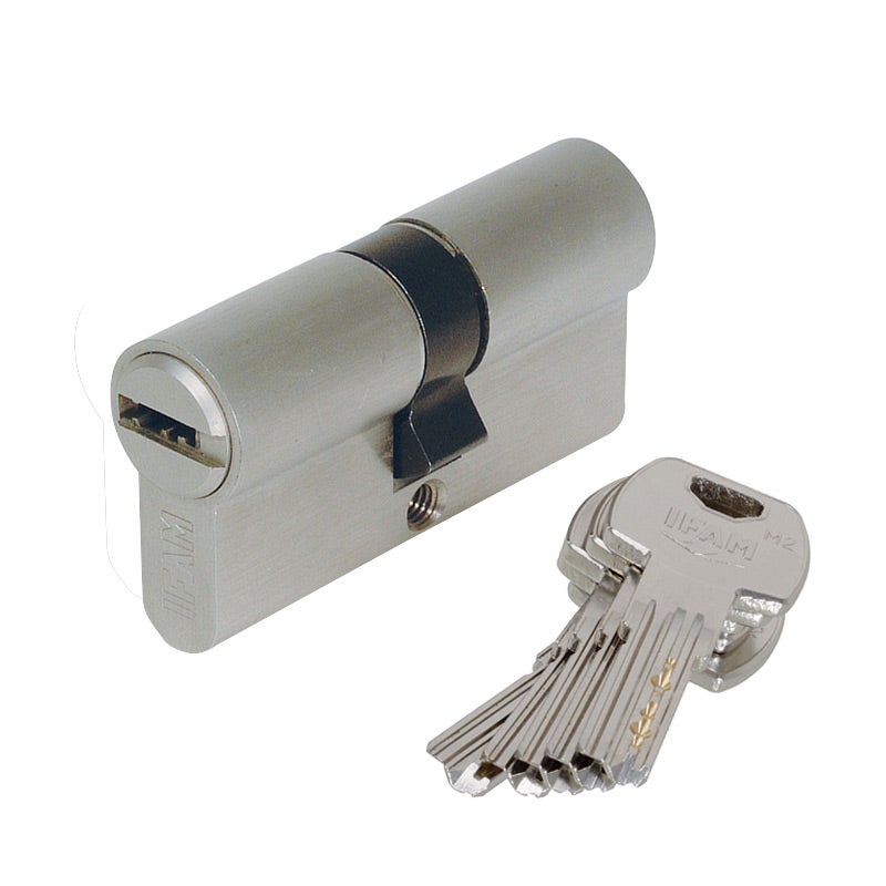 Lot de 7 cylindres de serrure professionnels à fermeture identique 40