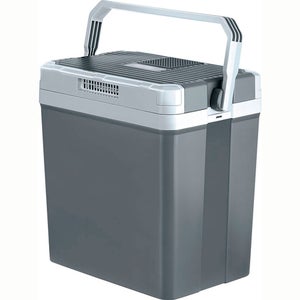 Glacière Electrique Voiture/Camion 40L - 12V -220V – Healthy Lunch