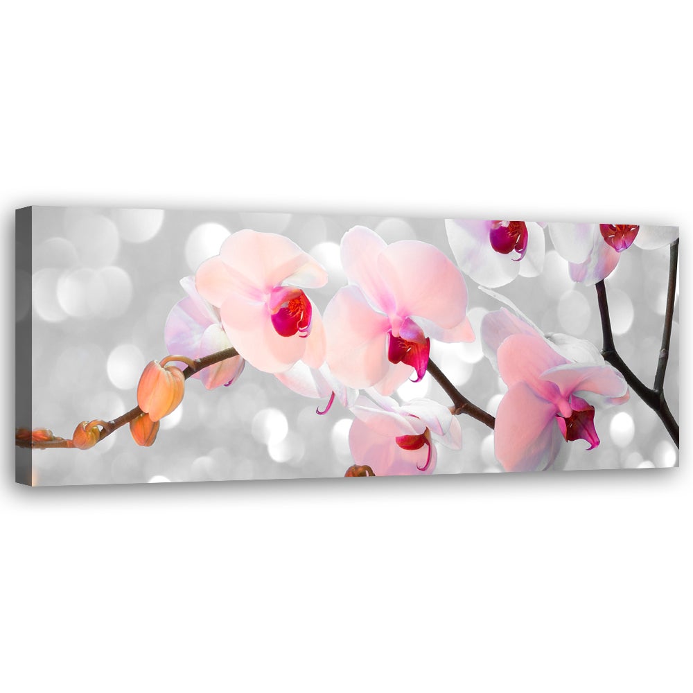 Obraz na płótnie, Orchidea Kwiaty Natura 120x40