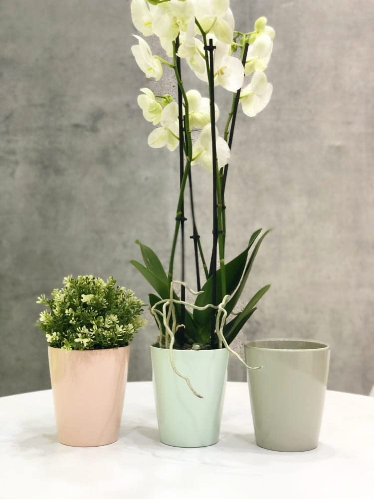 Osłonka fi12 doniczka donica ceramiczna na kwiaty - KOTARBAU - 3