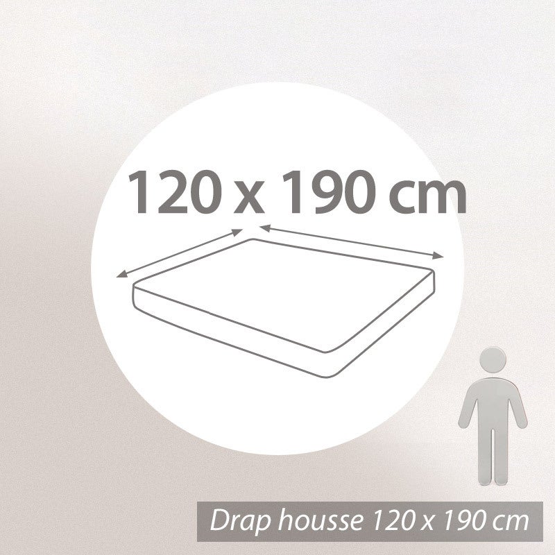 Fleurs De Cerisier Japonaises OnduléEs Drap Plat 2 Personnes Drap