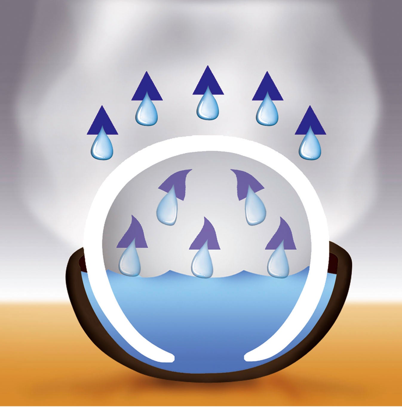 Saturateur Rondo - 2