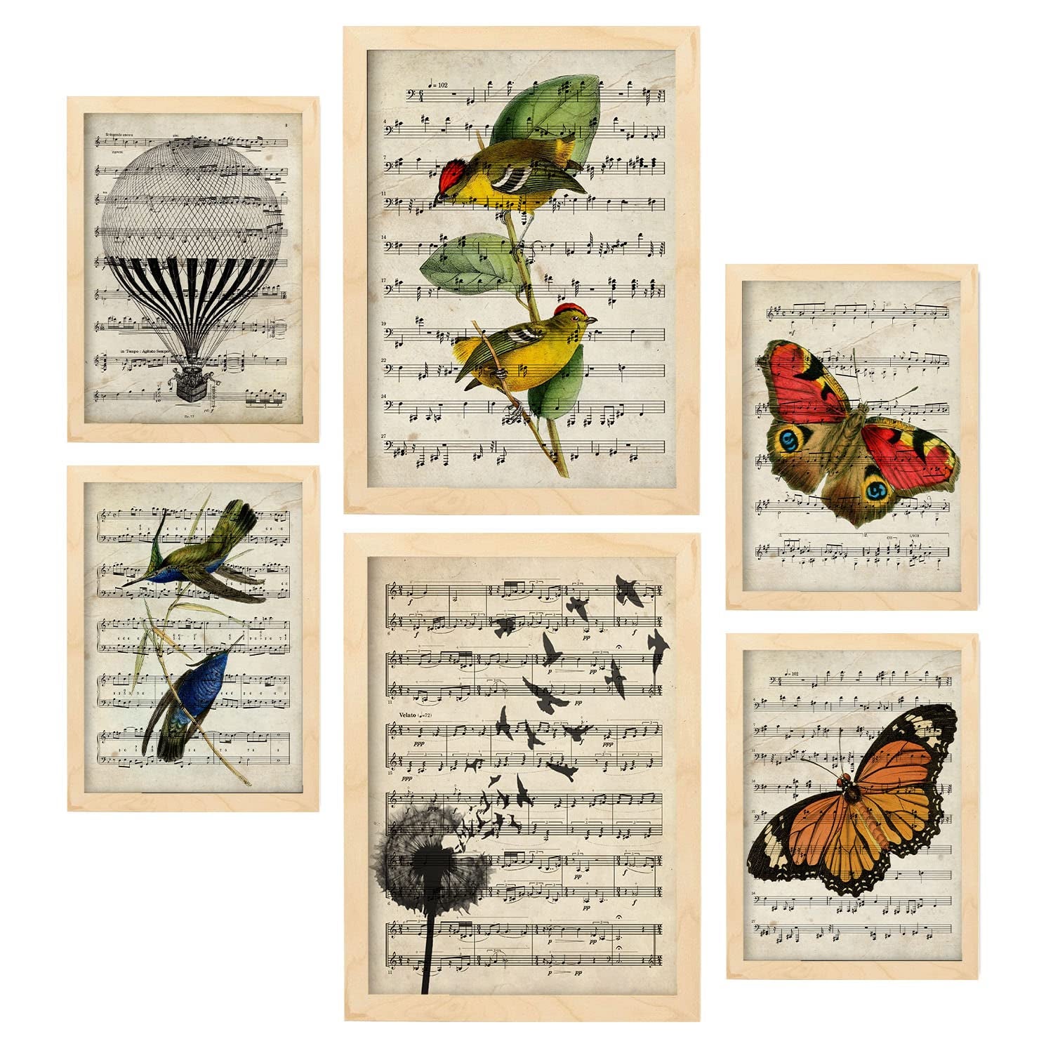 Nacnic posters de partituras ilustraciones estilo enciclopedia vintage con pájaros y mariposas naturaleza y vuelo a4 & a3 marcos color madera