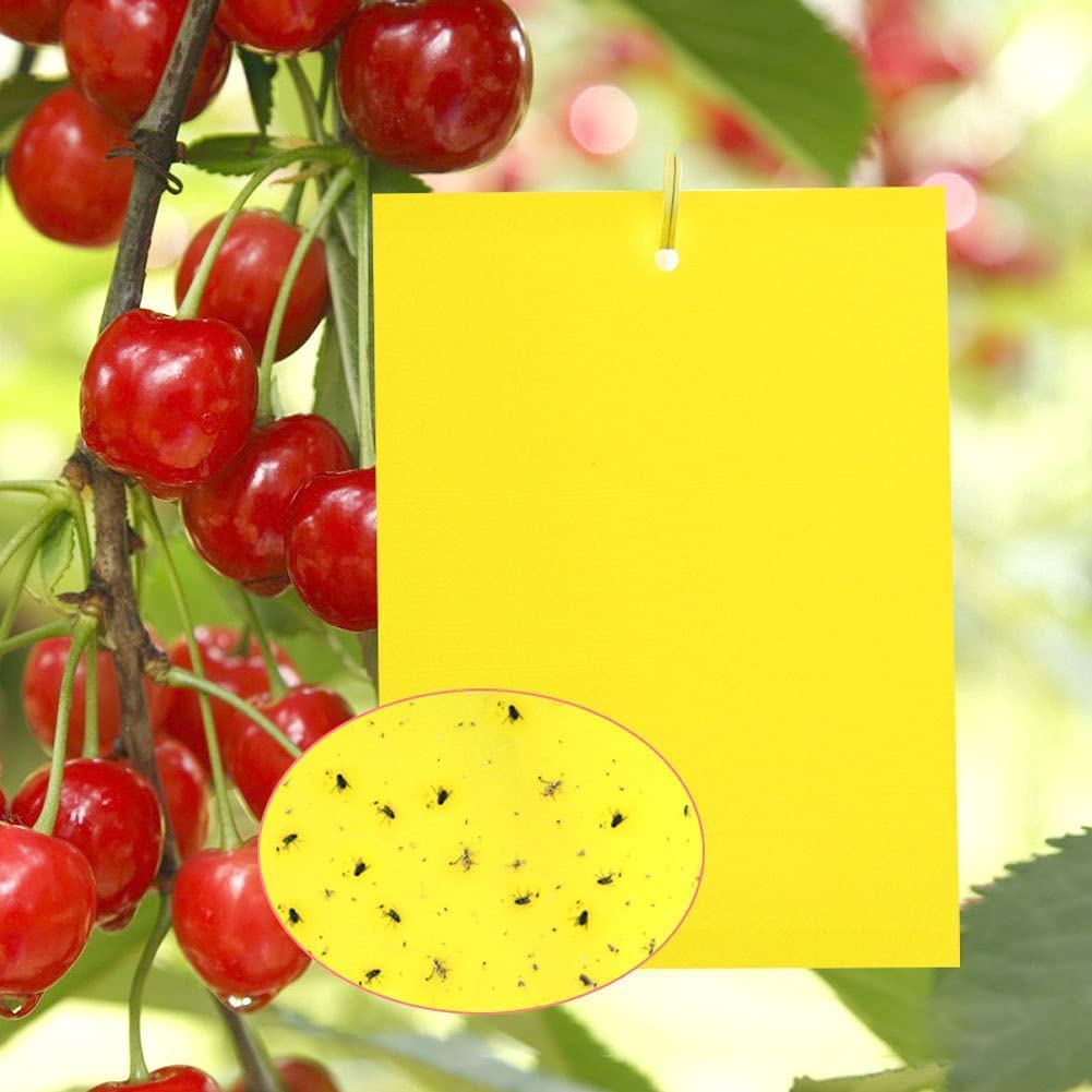 Minecraft Mineworld 1000 Autocollants Et Jeux