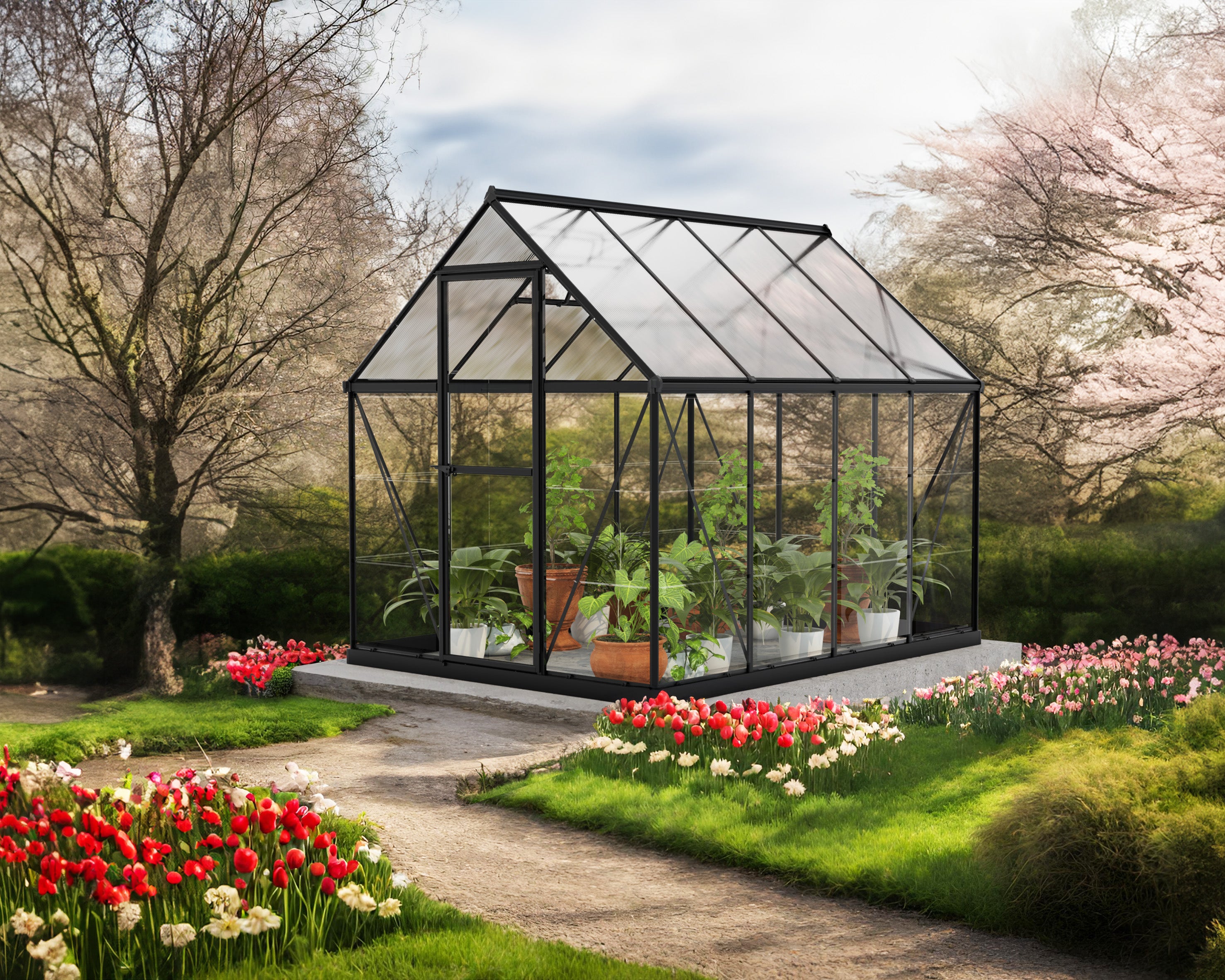 Canopia Serre de jardin Hybrid 4.6m² Noir - 2