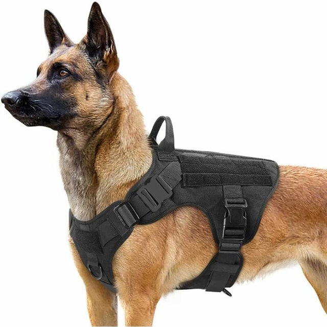 Peitoral tático para cães de grande porte, peitoral militar com alça, colete anti-puxão para cães de serviço com fivela, peitoral ajustável para trein