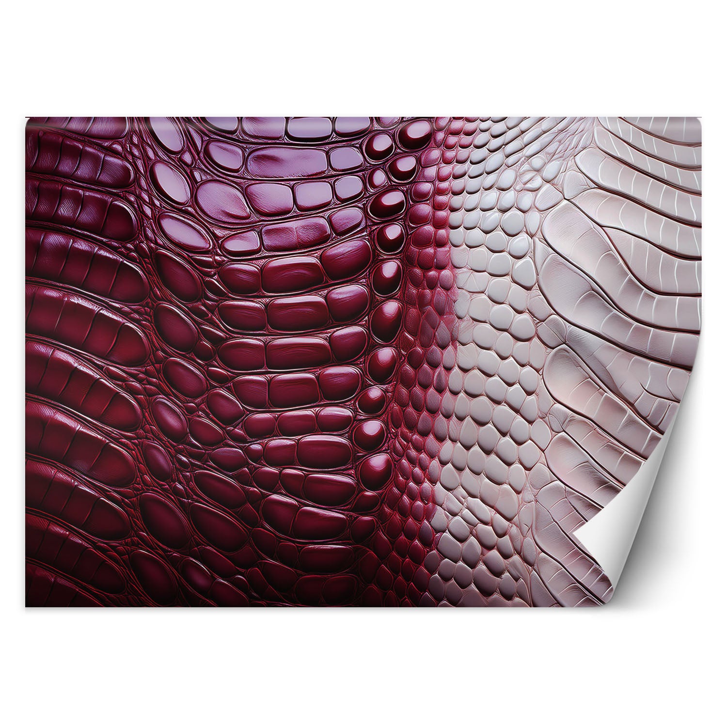 Fototapeta, Czerwona skóra węża 350x245