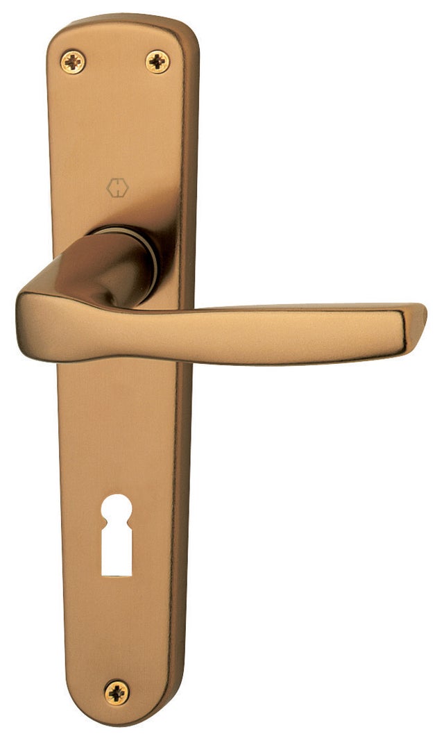 Maniglia Porta In Ghisa Stile Retrò - 220mm, Con Viti, Per Porte Fienili, Bagni, Giardini - Facile Installazione - Foto 3