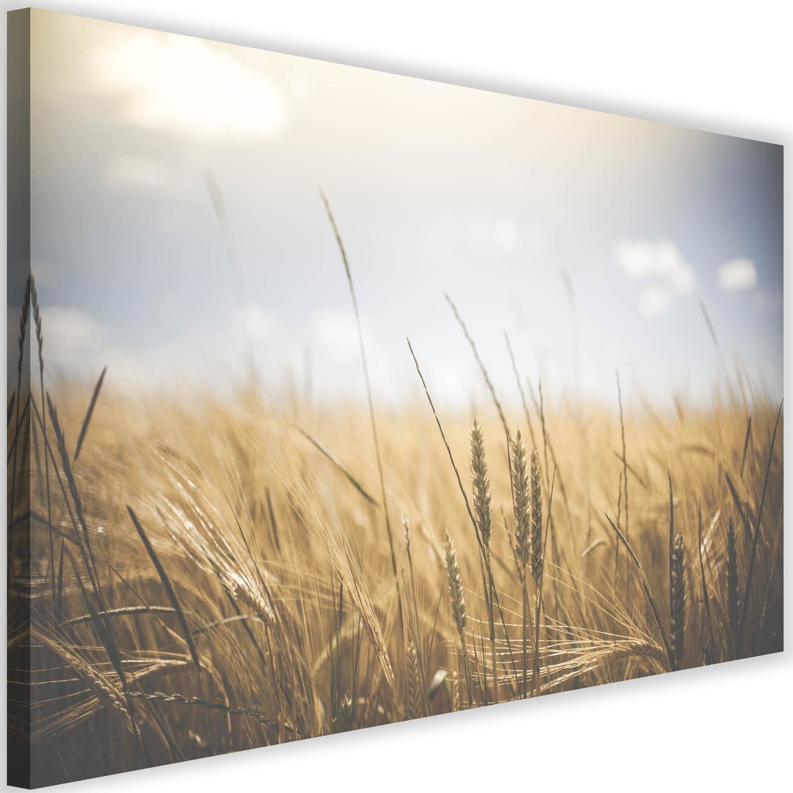 Obraz na płótnie, Zboże na polu 120x80