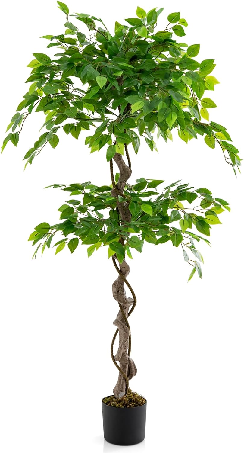 Mini Albero Di Fico Artificiale A Foglia Di Violino 80 Cm: Pianta Finta Ficus Lyrata In Vaso Bianco, Decorazione Per Casa E Ufficio, Zero Manutenzione