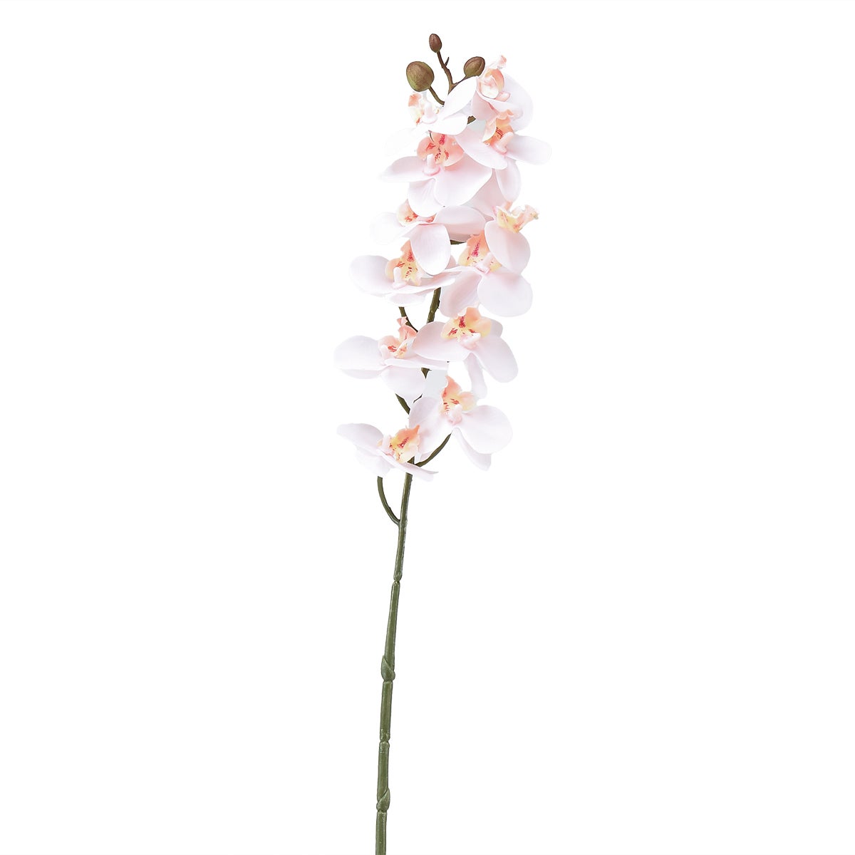 Orchidée Phalaenopsis artificielle au toucher réaliste | Leroy Merlin