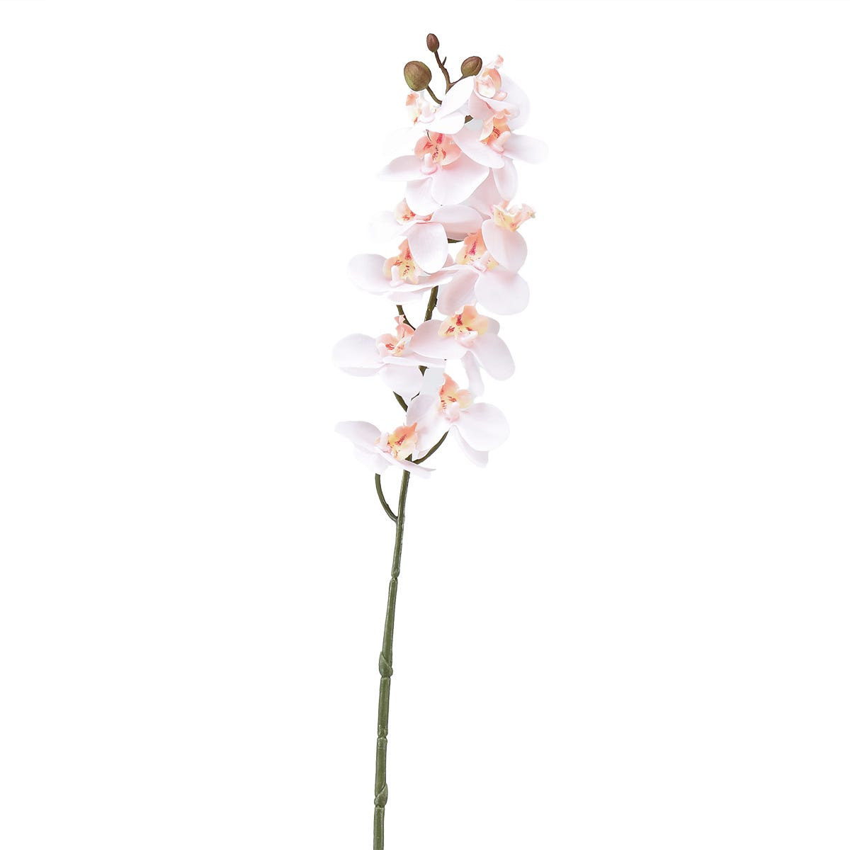 Ordhdee Orchidée Phalaenopsis artificielle au toucher réaliste | Leroy Merlin