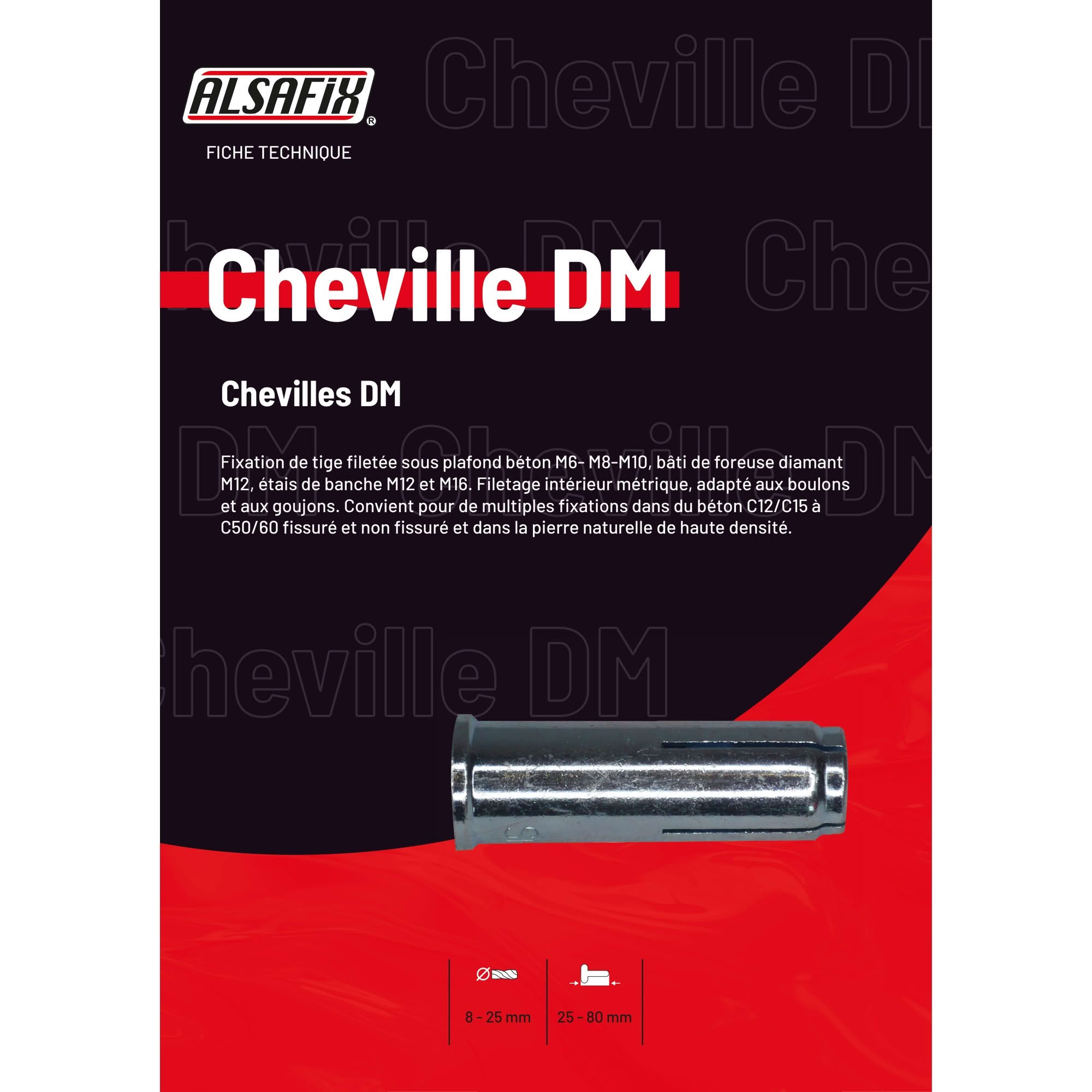 Blister de 10 chevilles DM - douille de frappe M10 - PO06306BL - Alsafix - 3