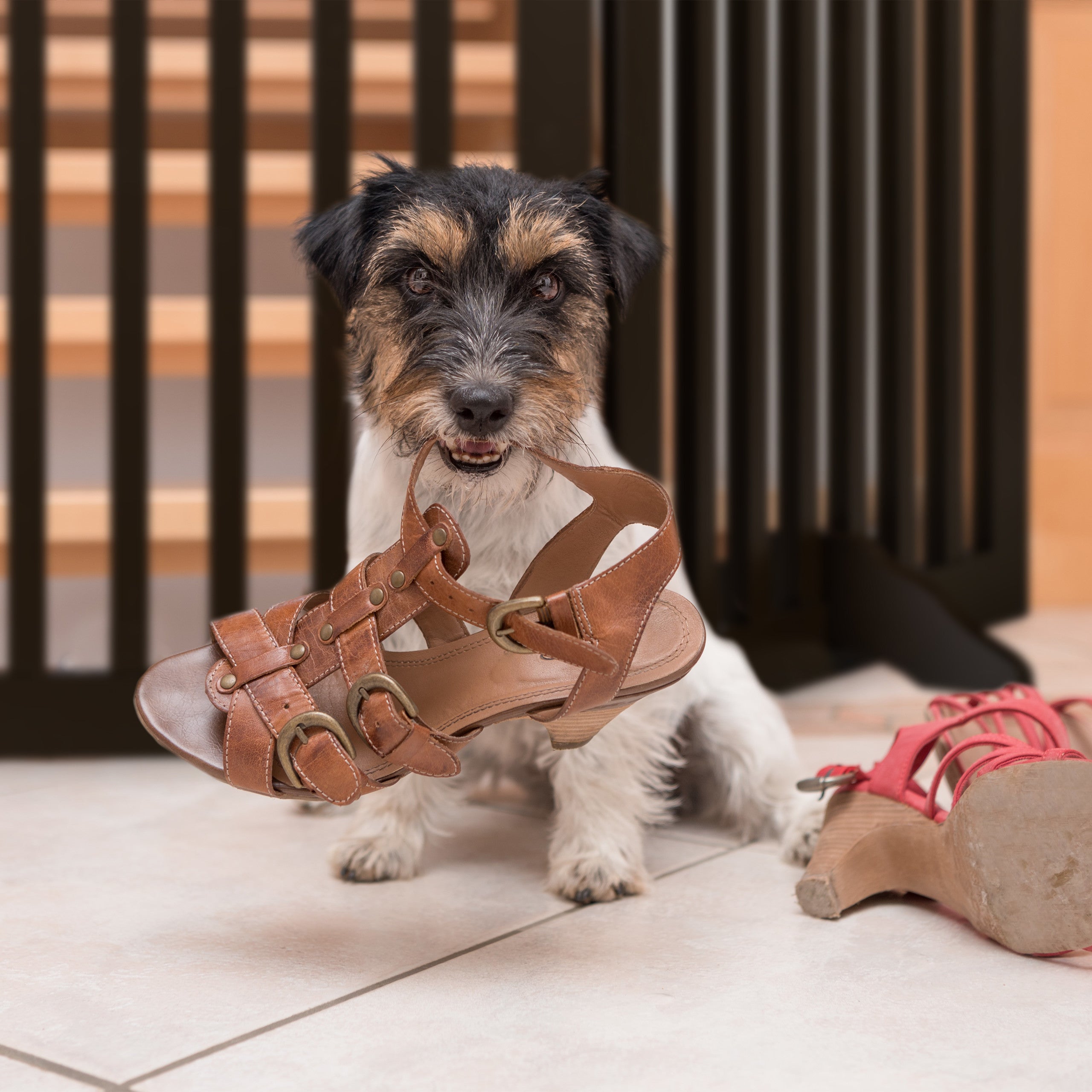 Barrière de sécurité pour chiens à 4 panneaux, pliable et autoportante, 70 x 206 cm, avec pieds, MDF marron, Relaxdays - 6