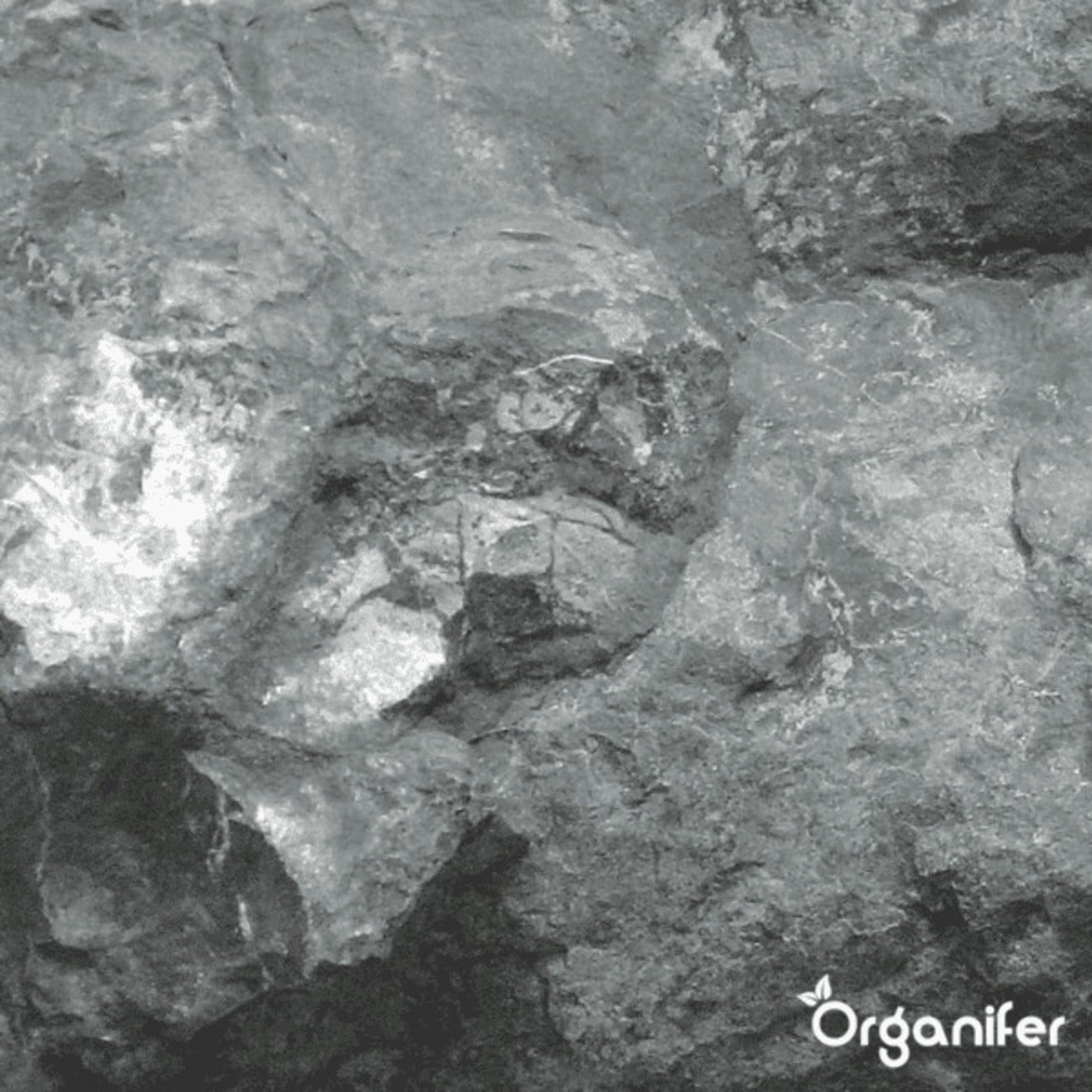 Farine De Basalte Amendement Pour Sol Argileux - 48X = 960 Kg Pour 9600 M2 - Organifer - 8