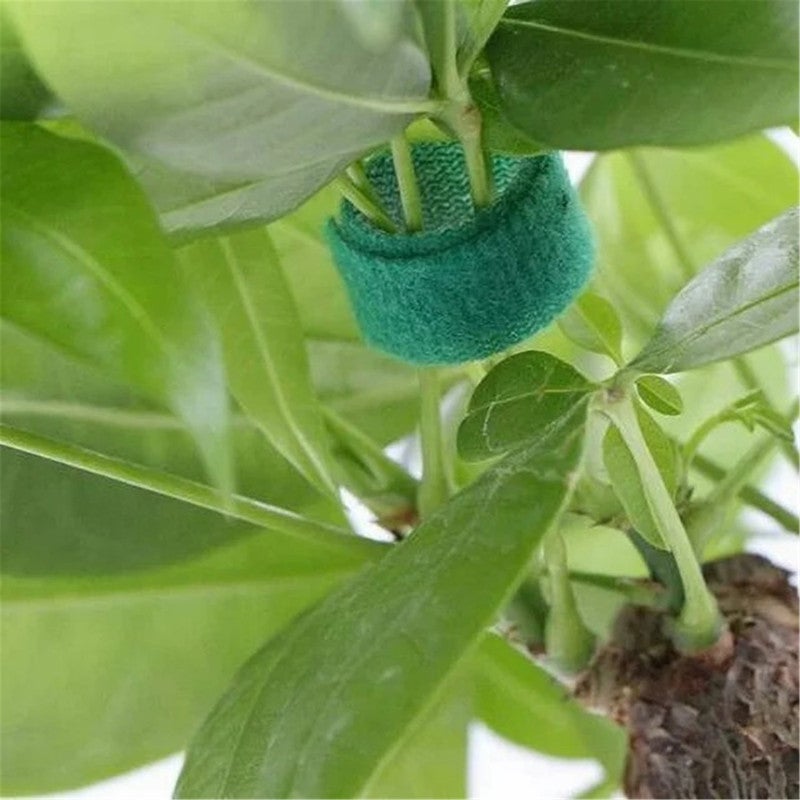 6 rouleaux de ruban adhésif en nylon réutilisable pour plantes de jardin, tomates, fleurs ou légumes en bacs surélevés, vert, 10 mm x 2 m - 6