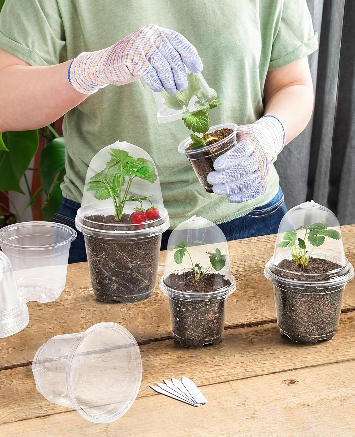Tasse de plantation isolée transparente avec couvercle, pot de semis, récipient pour plantes à fleurs, pot de semis en plastique 10 pièces - 3