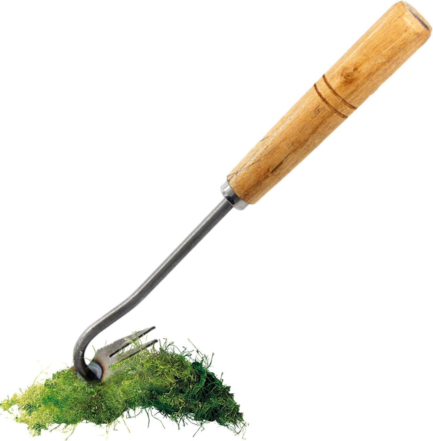 Arrache Mauvaise Herbes Jardinage, Outil Arrache Mauvaises Herbes, Extracteur Mauvaises Herbes, Rateau Desherbage, poignées - 2