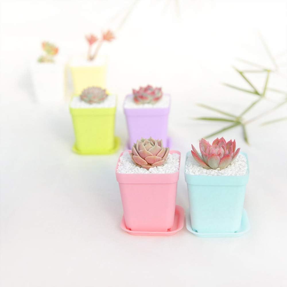 Lot de 24 pots de fleurs carrés en plastique coloré de 7,6 cm (3 pouces), adaptés aux semis, au repiquage et à la plantation. - 6