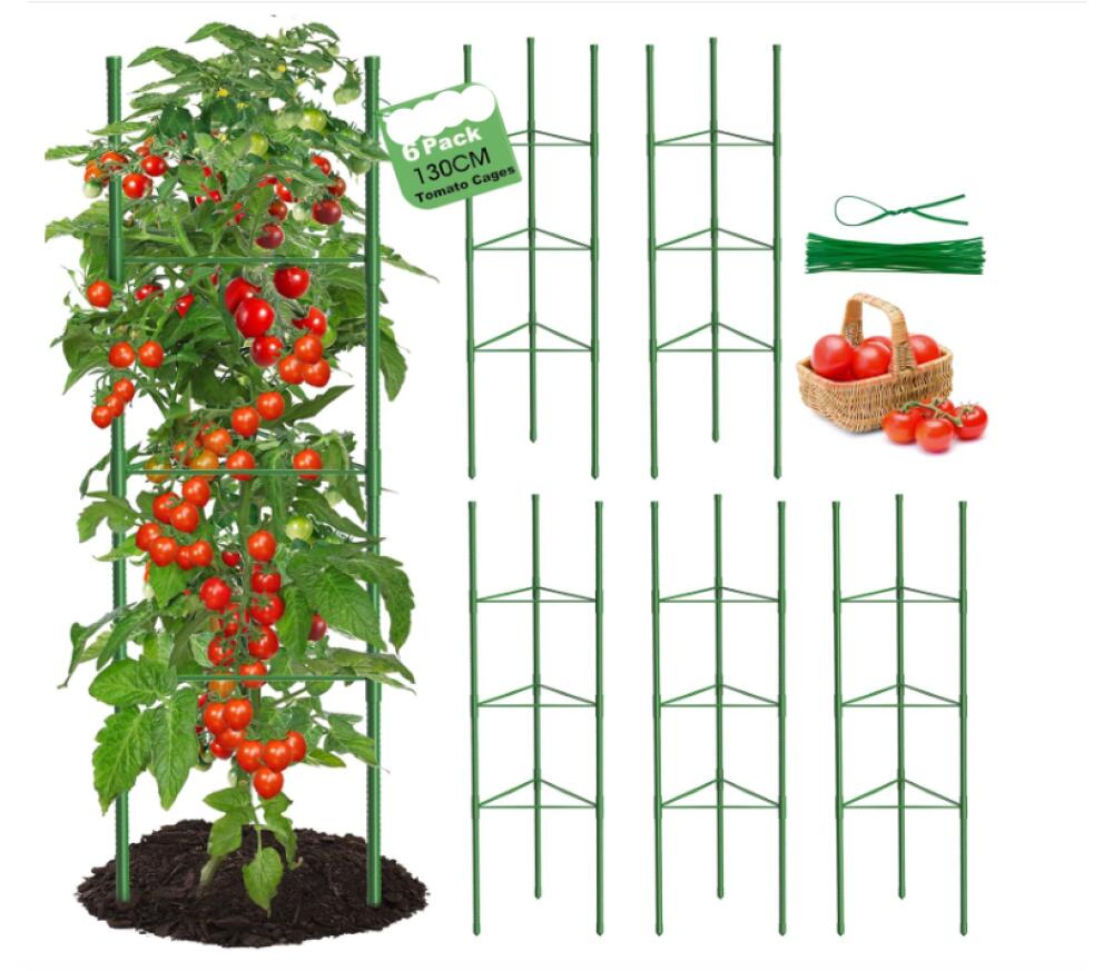 Cage à Tomates Support Plante Grimpante 120cm - Obélisque Treillis Jardin 2 Pièces