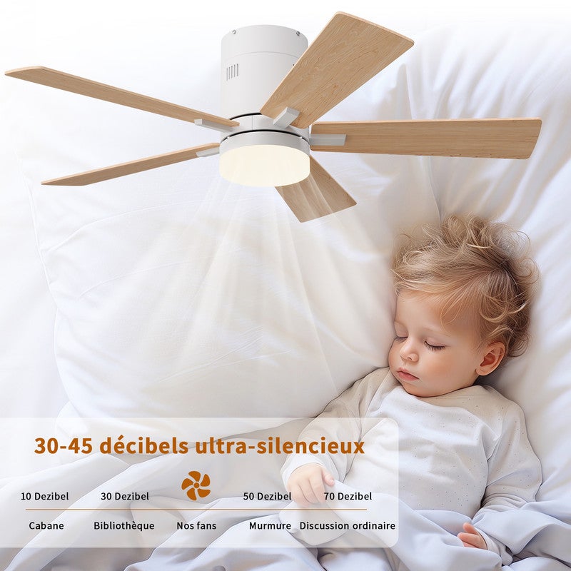 Ventilateur de Plafond, LED avec Lumière et Telecommande, Ventilateur Dimmable Plafonnier, 5 Pales, 6 Vitesses, Silencieux, Diamètre 106cm - 4