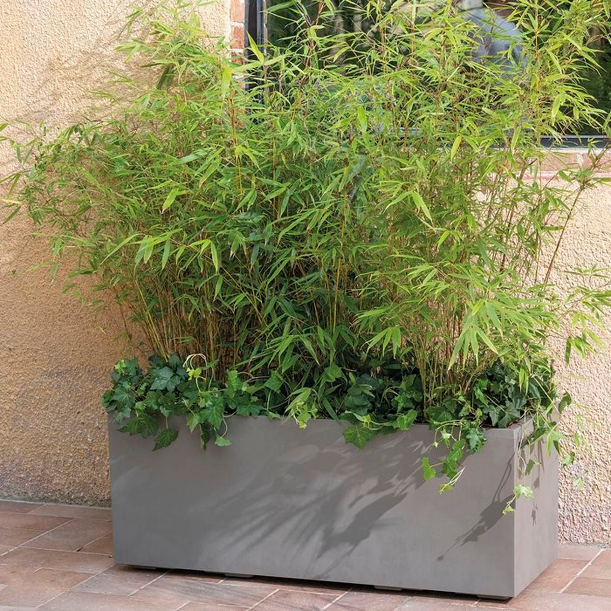 Pot rectangulaire DEROMA Millennium marron 99 cm 97 L réserve d eau roulettes - 2