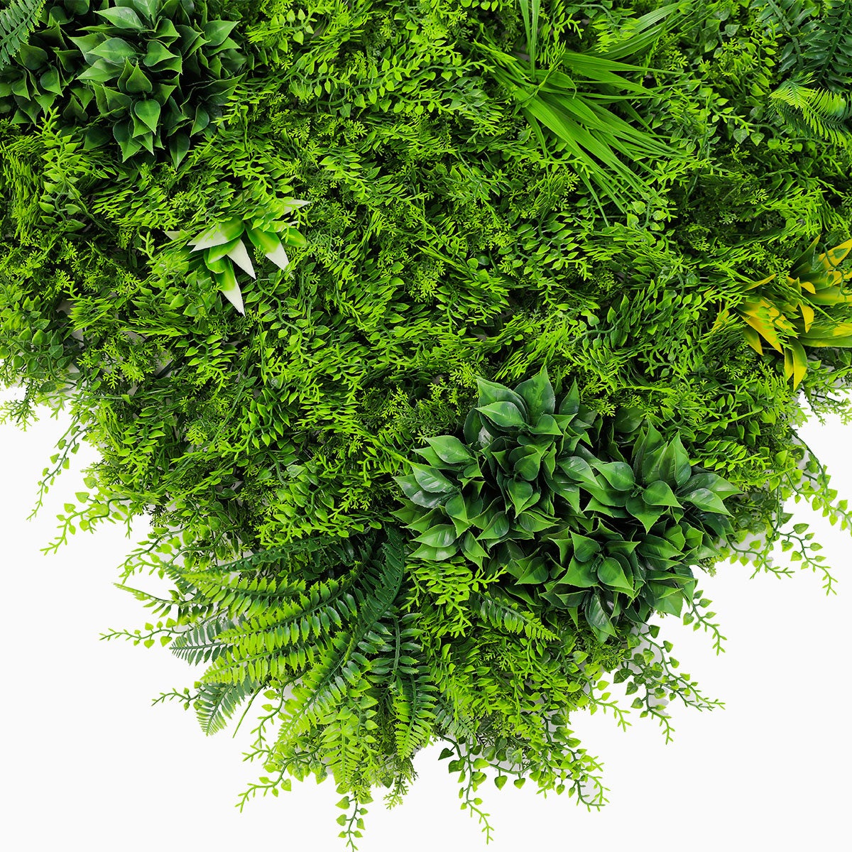 LOT de 5M² Mur Vegetal Artificiel Fougère Dense MGS décoration murale - 11