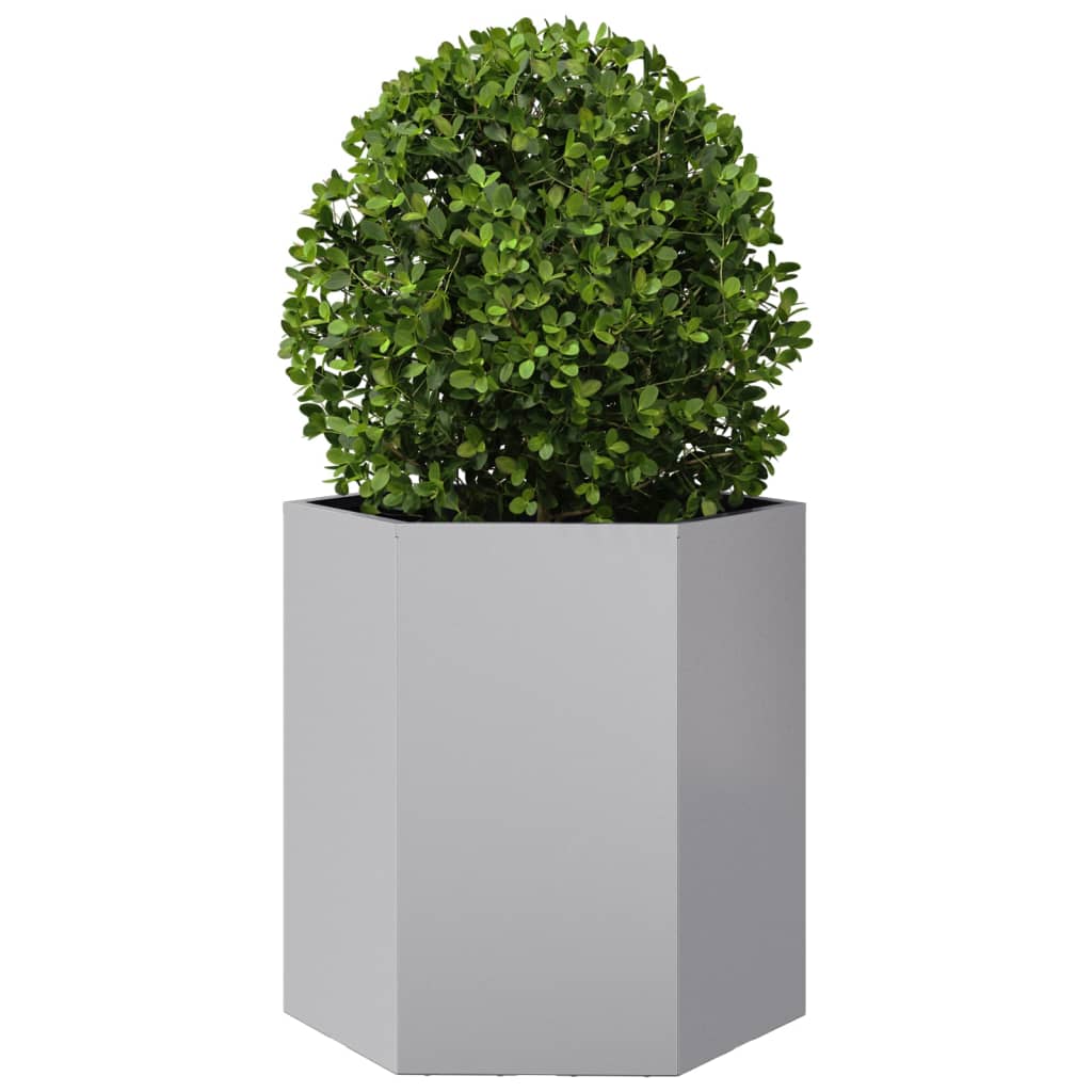 Maison Exclusive - Jardinera hexagonal acero inoxidable 46x40x45 cm - 3