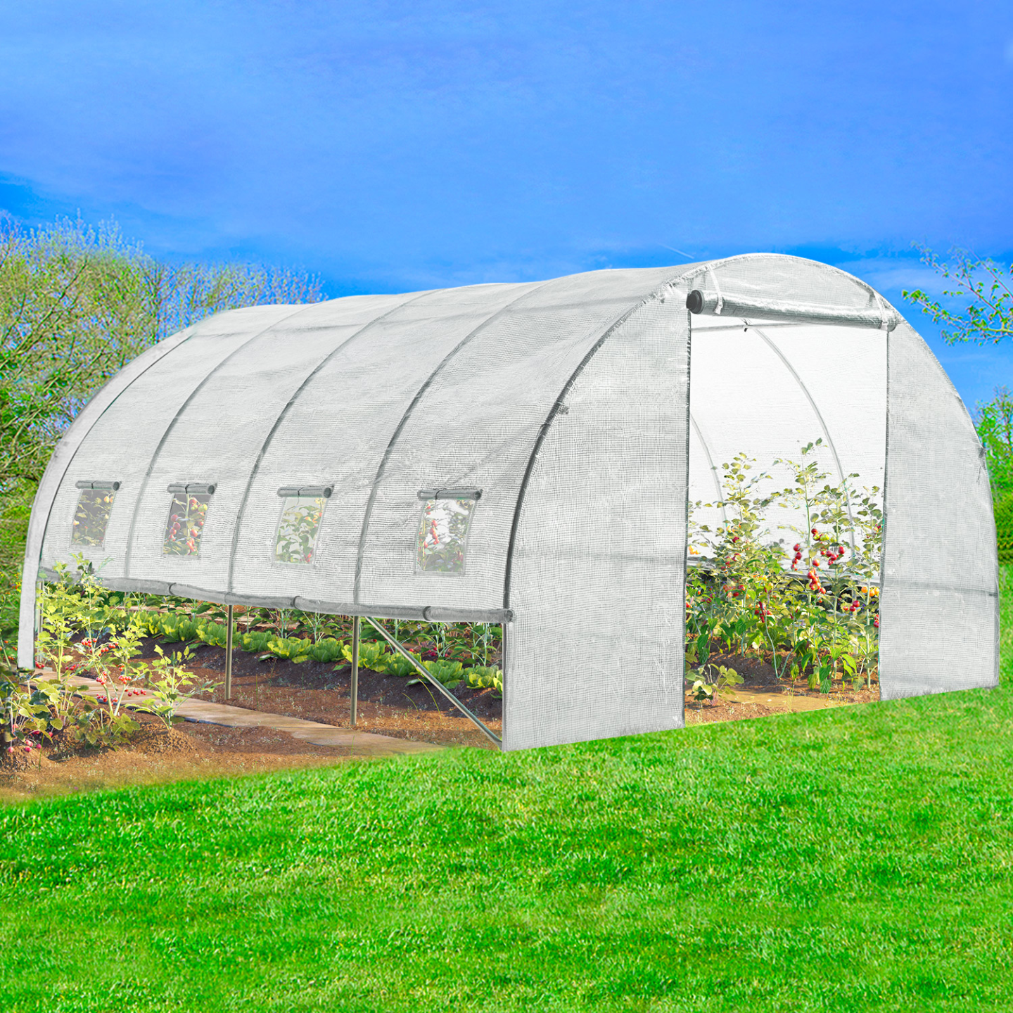 Serre tunnel de jardin 4 saisons 12M² blanche gamme maraîchère ZEBRA 4x3M - 3