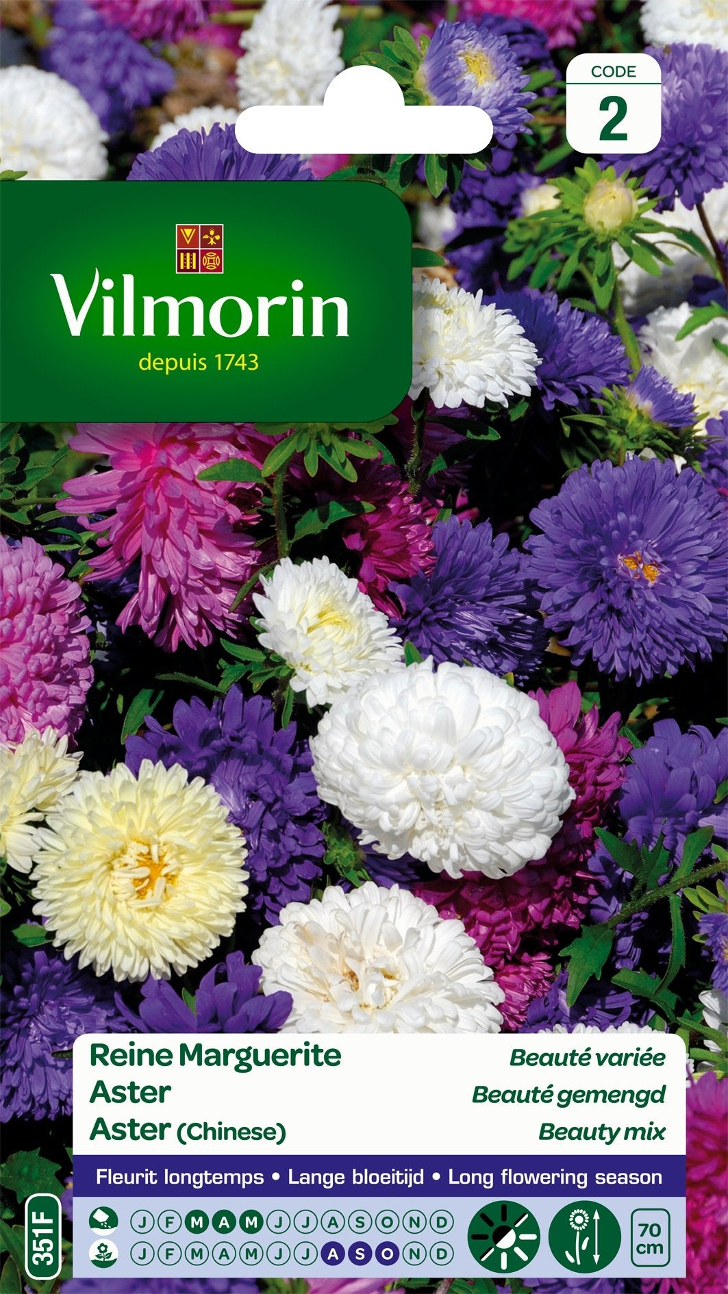 Vilmorin 5703442 - Regina Margherita, Multicolore, 90 x 2 x 160 cm - 3