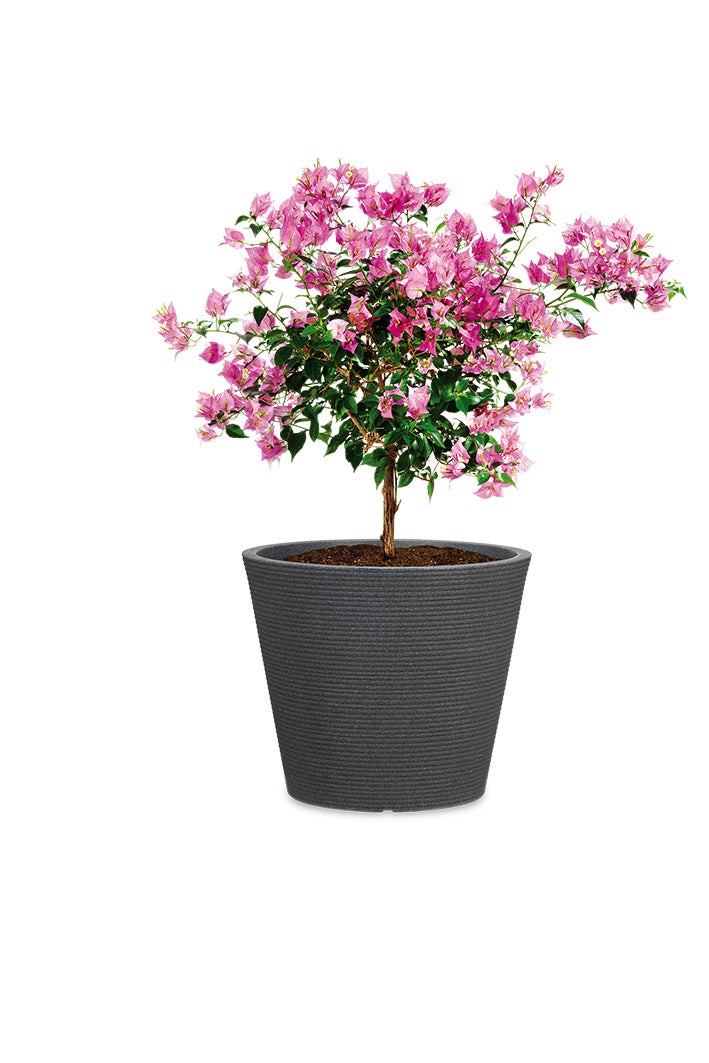 Scheurich Coneo 40, bac à plantes/pot à fleurs/jardinière, cylindrique, coloris: Granit noir, fabriqué avec du plastique recyclé, pour l’extérieur - 3