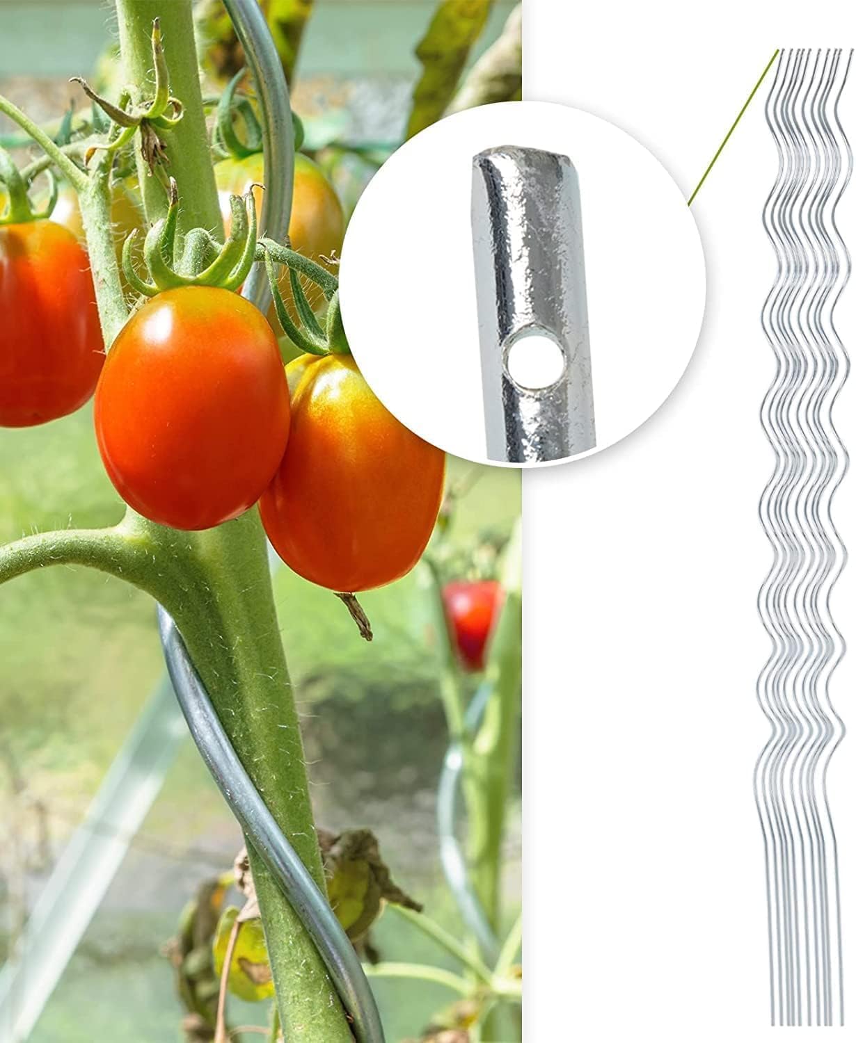 Lot de 10 tuteurs spirales galvanisés pour plantes grimpantes, tomates, concombres, framboises et fleurs - 110 cm - 3