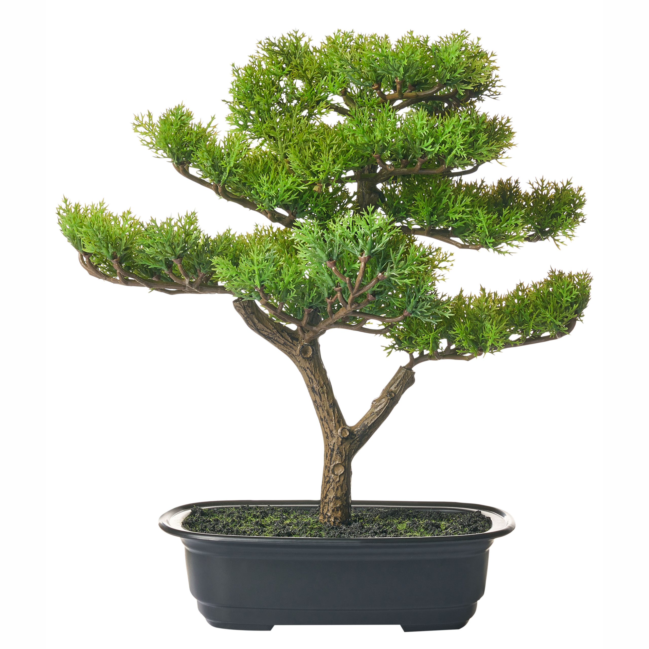 Plantă artificială PINE 37 cm Verde