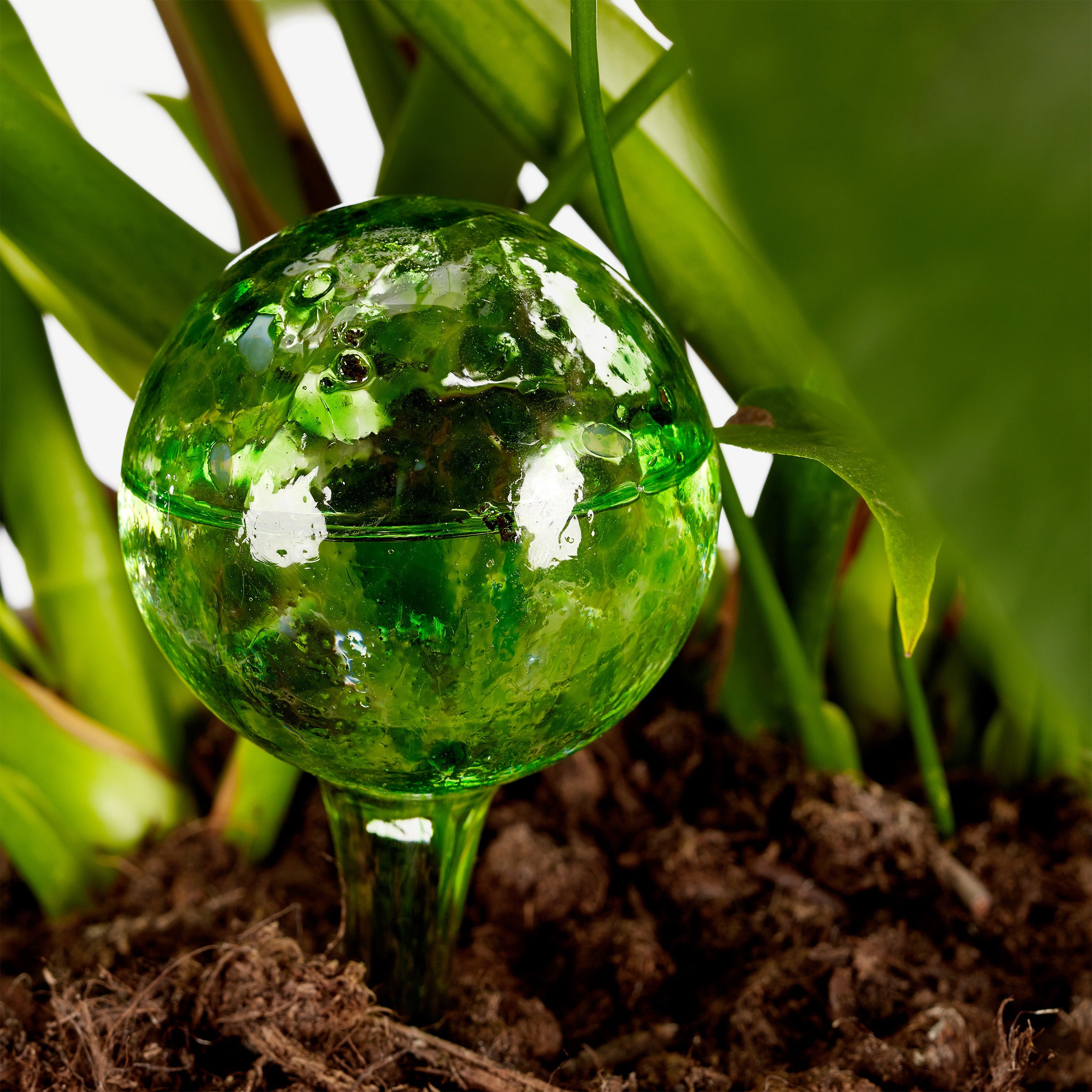 Globes d'arrosage, lot de 10 pour plantes et fleurs, arrosage dosé pour le bureau et les vacances, ø 6 cm, en verre vert, Relaxdays - 2