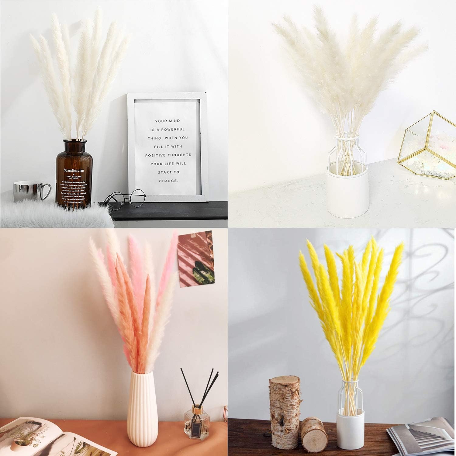 30 pcs Herbe de la Pampa, 45 cm Naturel Pampa Fleur Bouquet de Fleurs Sechees pour Vases, Blanc Boho Decoration Chambre Maison Salon - 4