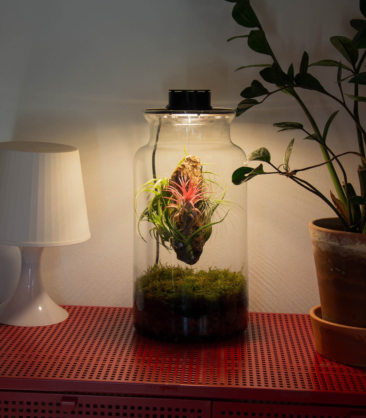 Globe de terrarium à suspendre, vase en verre transparent à suspendre avec support en métal noir pour plantes aériennes, plantes succulentes, plantes succulentes pour pot de fleurs, décoration de