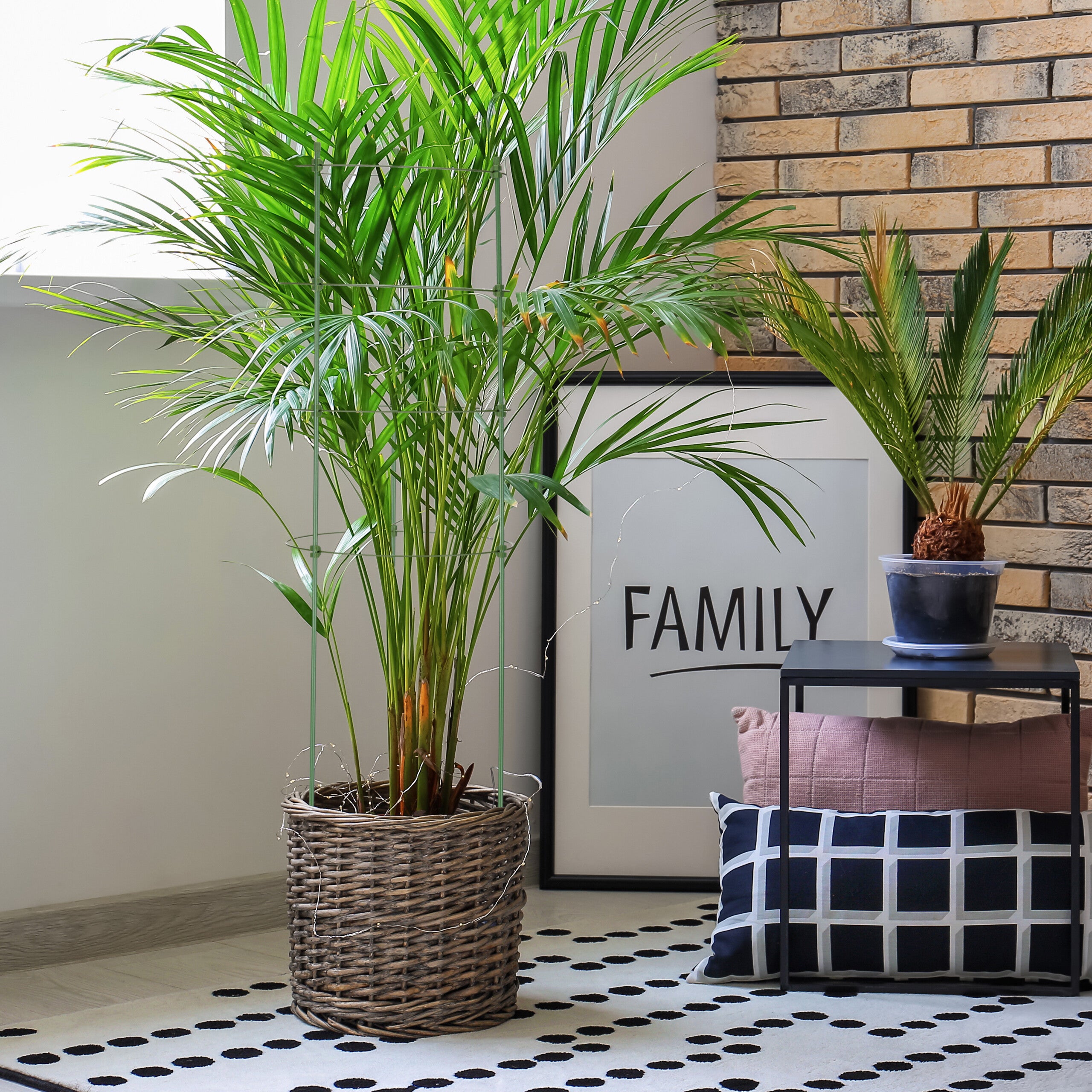 Tuteur à tomates, lot de 4, 4 anneaux, H x D : 91 x 28 cm, pour plantes utilitaires, métal & plastique, vert, Relaxdays - 3