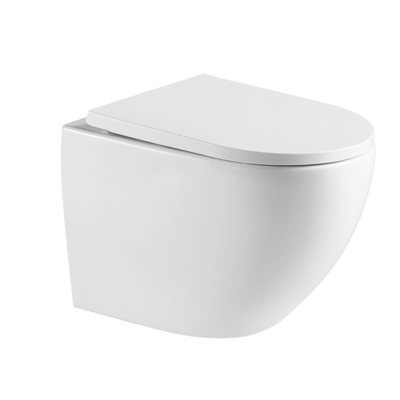 Pack WC Bâti-support + WC sans bride SAT Fusion + Abattant softclose + Plaque Chrome - 2