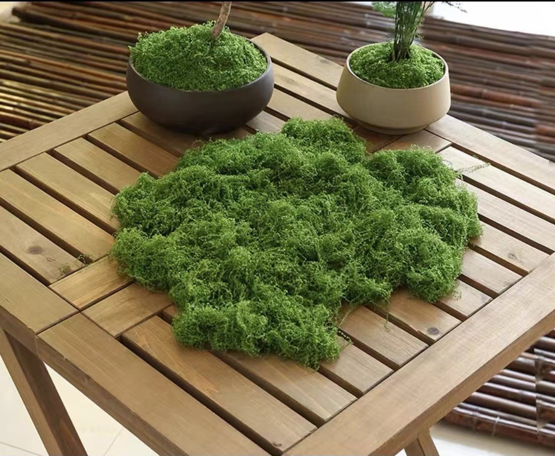 Décoration de mousse artificielle 50g, mousse de bloc de mousse floquée