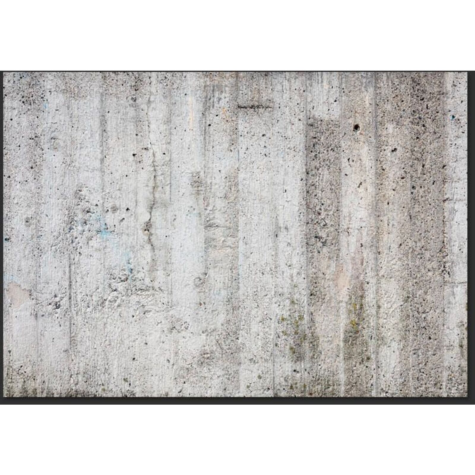 Papier peint empereur gris - 350 x 245 cm - 2