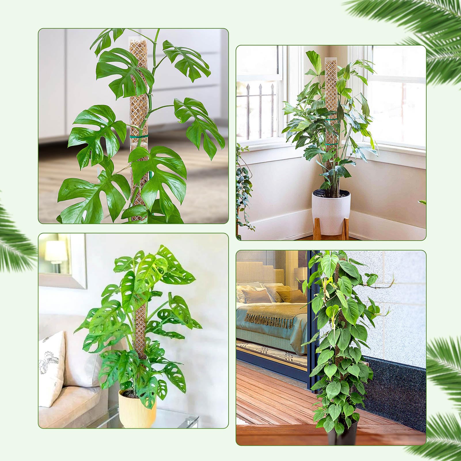 Palo di muschio da 2 confezioni da 24 pollici per piante Monstera, supporto per piante impilabile con lacci da giardino per piante rampicanti - 7