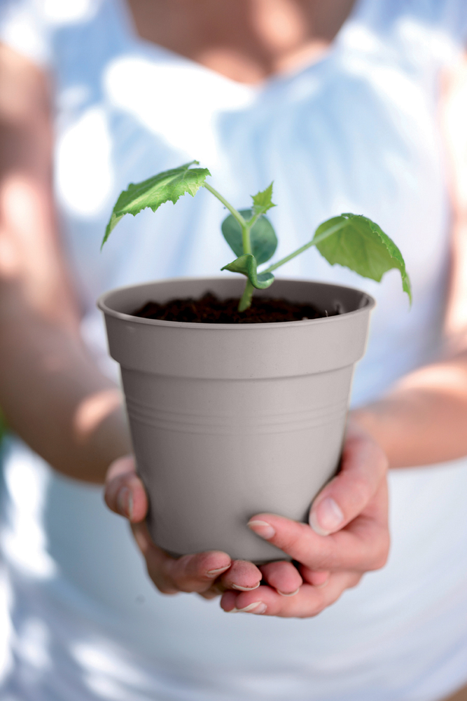 Elho Green Basics Pot De Culture 35 - Violet - Ø 35 x H 32 cm - intérieur-extérieur-culture et récolte - 100% recyclé - 4