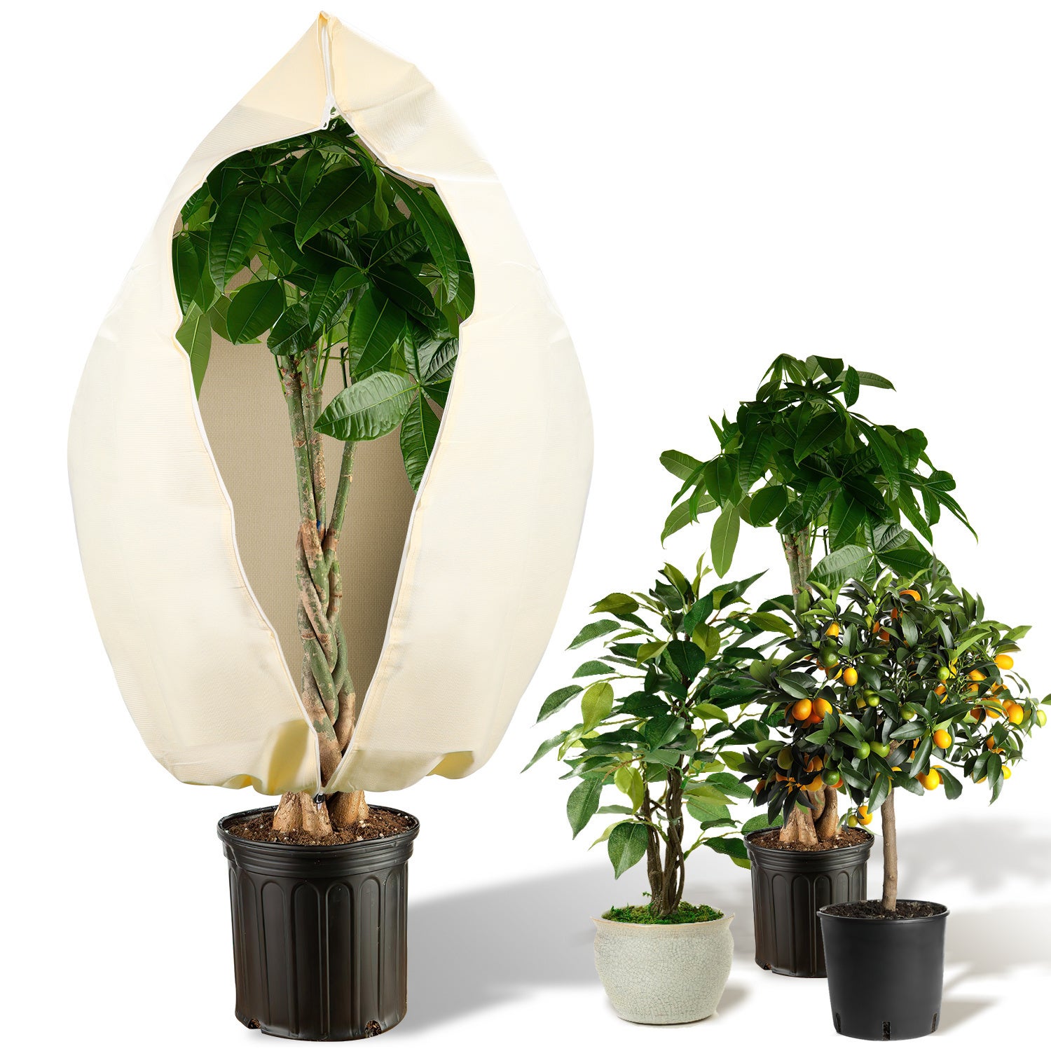 Lot De 2 Housses D'Hivernage Plantes 120x180cm - 60g/m² Avec Cordon Et Zipper - Protection Antigel, Neige Et Vent - Réutilisable