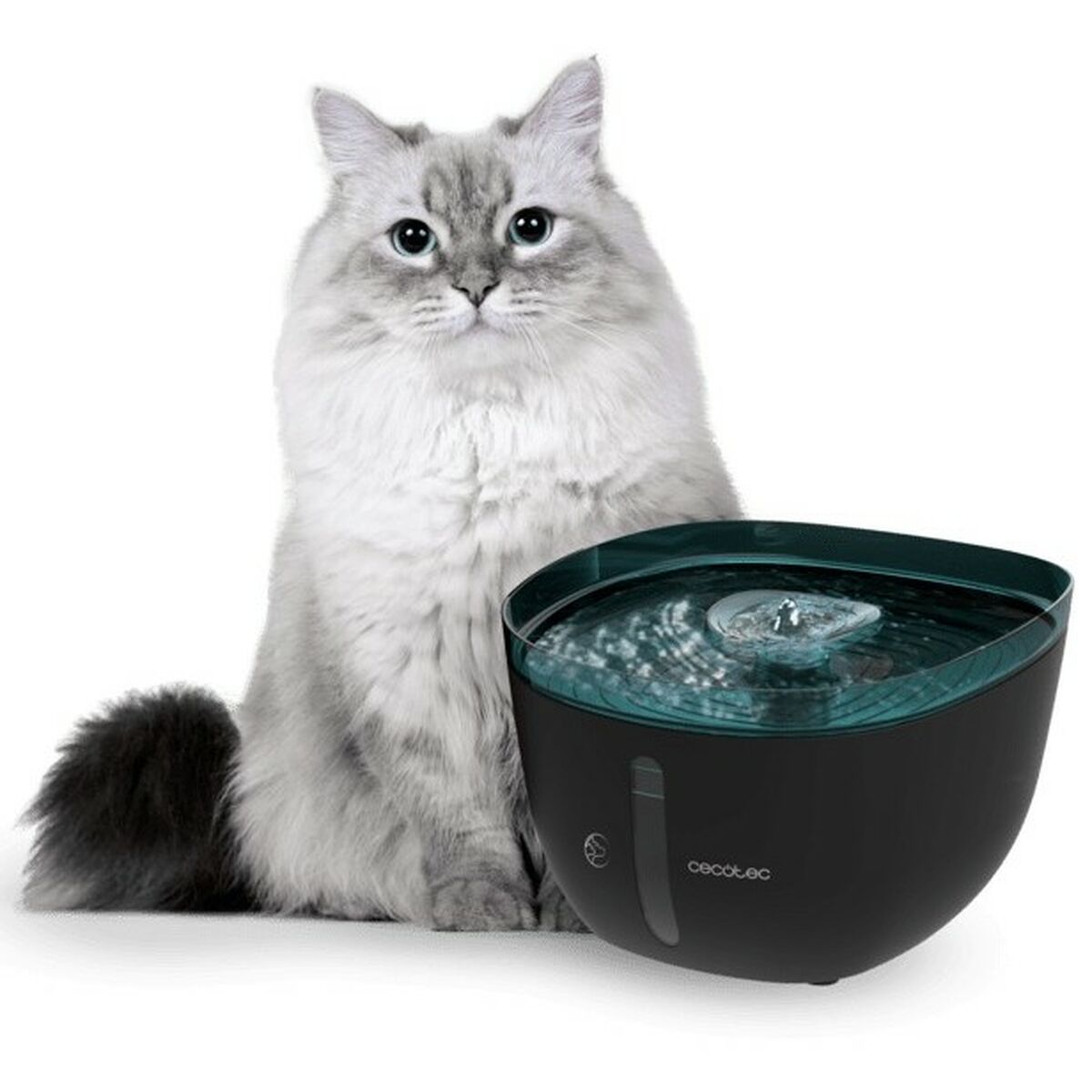 Cecotec Fuente Para Mascotas 09561 Auto Negro , Leroy Merlin