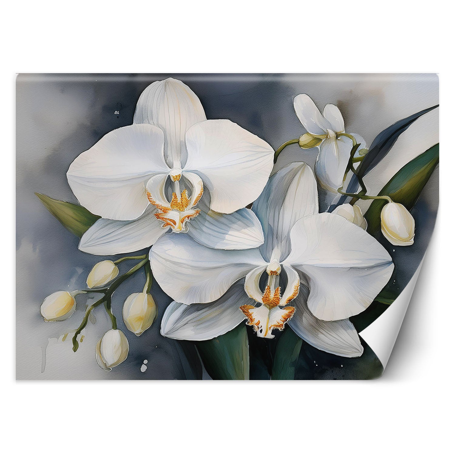 Fototapeta, Kwiat orchidei Abstrakcja 250x175