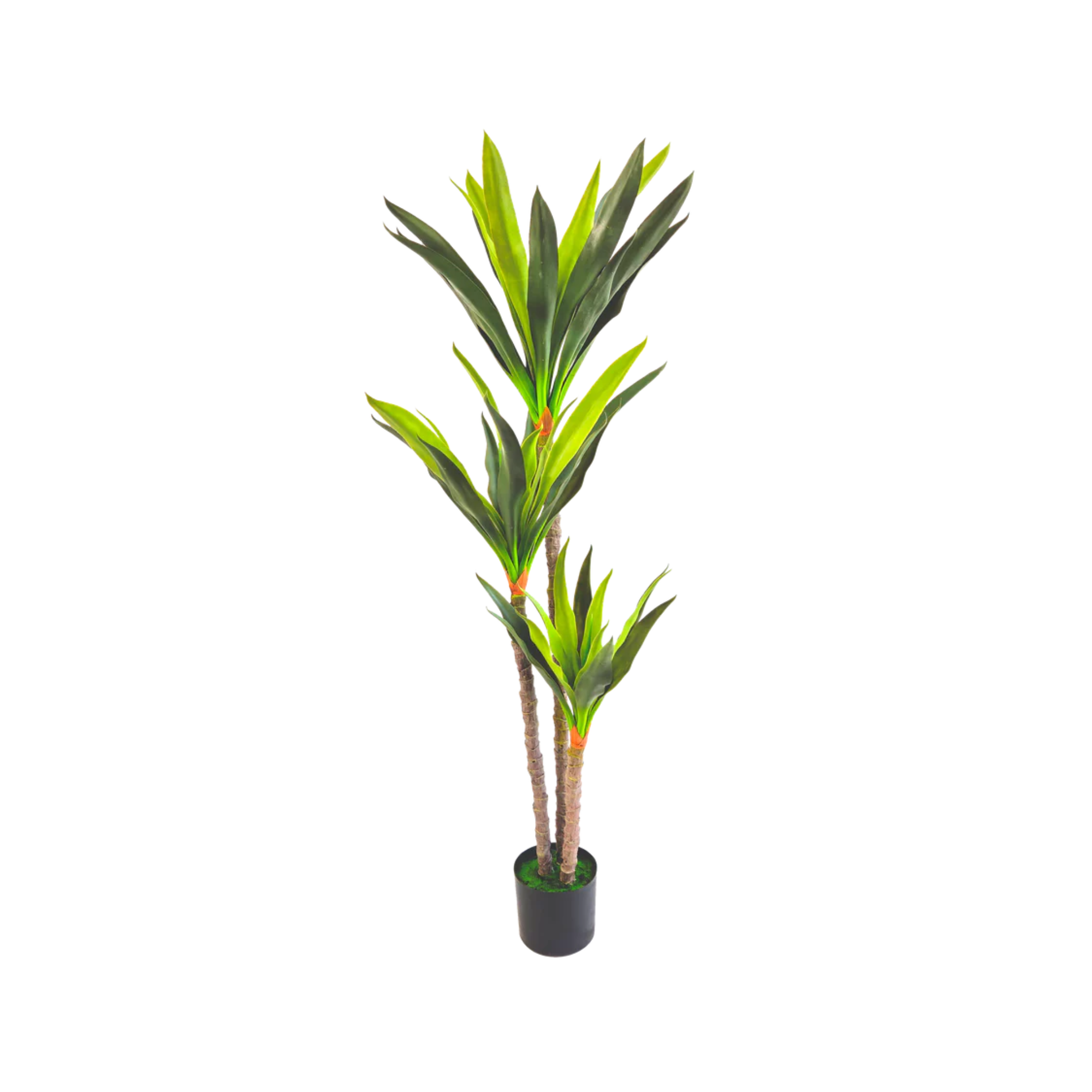 Tecnokit  Plantas Artificiales Dracaena 150 Cm Plantas Artificiales Exterior Plantas Artificiales Decoración Salón Dormitorio Balcón Bambú Ciprés (Drac , Leroy Merlin